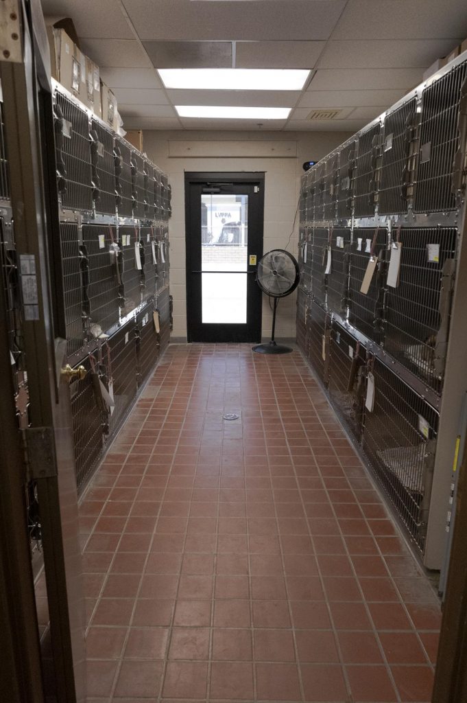 Pet Boarding in Las Vegas, NV Sun City Animal Hospital